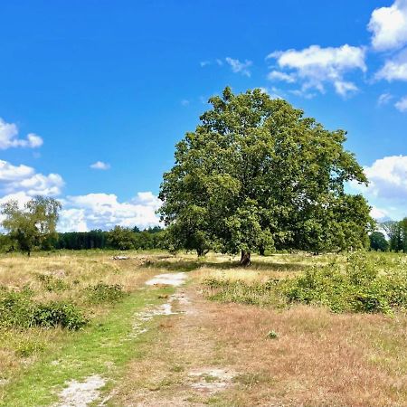 Buitenlust In Het Bos Zuidlaren Exterior foto