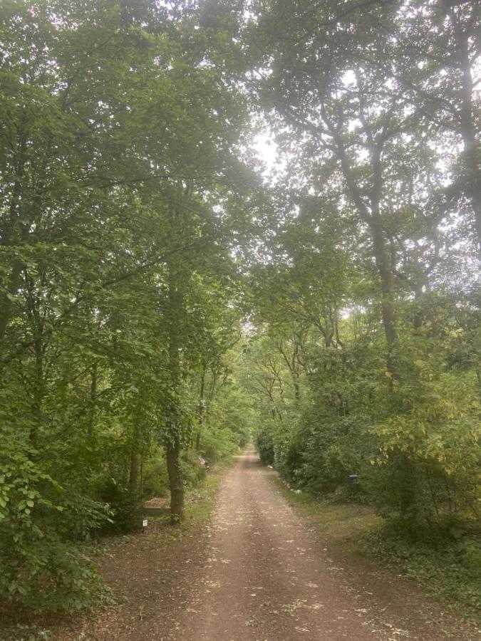 Buitenlust In Het Bos Zuidlaren Exterior foto