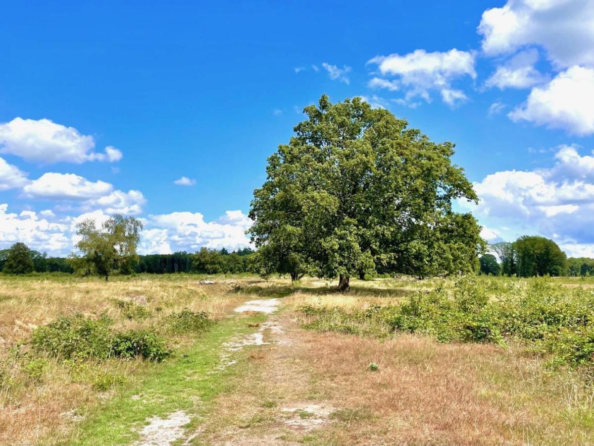 Buitenlust In Het Bos Zuidlaren Exterior foto